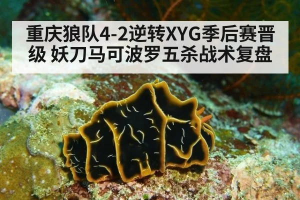 重庆狼队4-2逆转XYG季后赛晋级 妖刀马可波罗五杀战术复盘