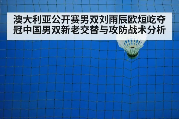 badminton net play